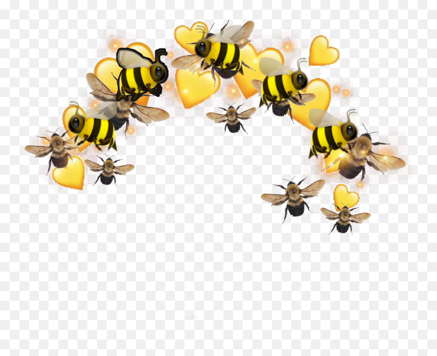 Bees Bee Yellow Yellowaesthetic Sticker By Emoji,Bee Transparent