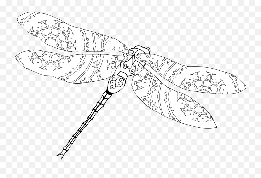 Stylized Dragonfly Clipart Free Download Transparent Png - Parasitism Emoji,Dragonfly Clipart
