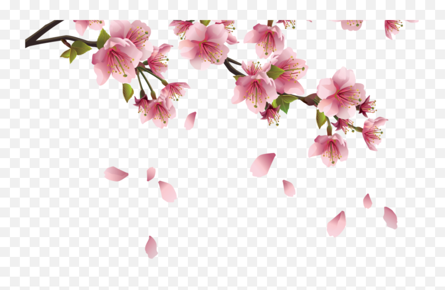 Cherry Blossom Png - Cherry Blossom Png No Background Emoji,Cherry Blossom Png