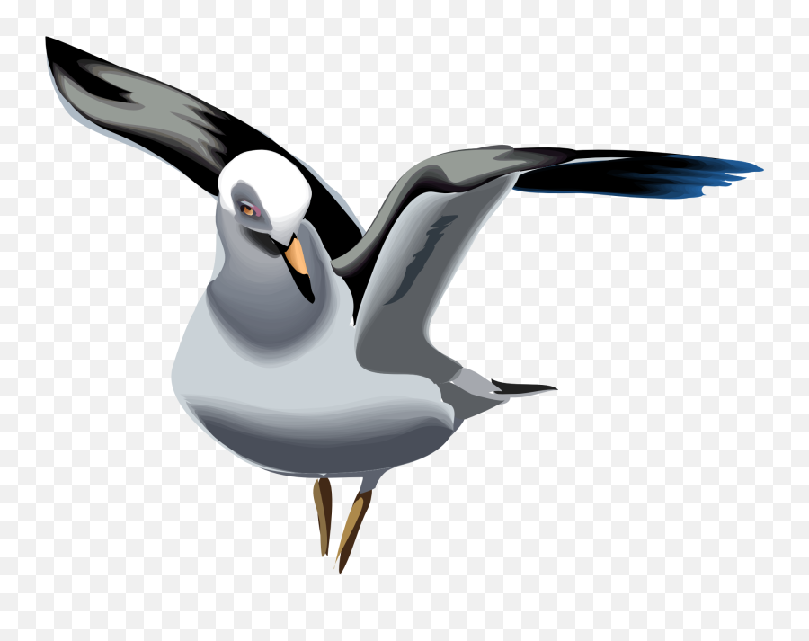 Beautiful Colorful Seagull Clipart Free - Racek Kreslené Obrázky Emoji,Seagull Clipart