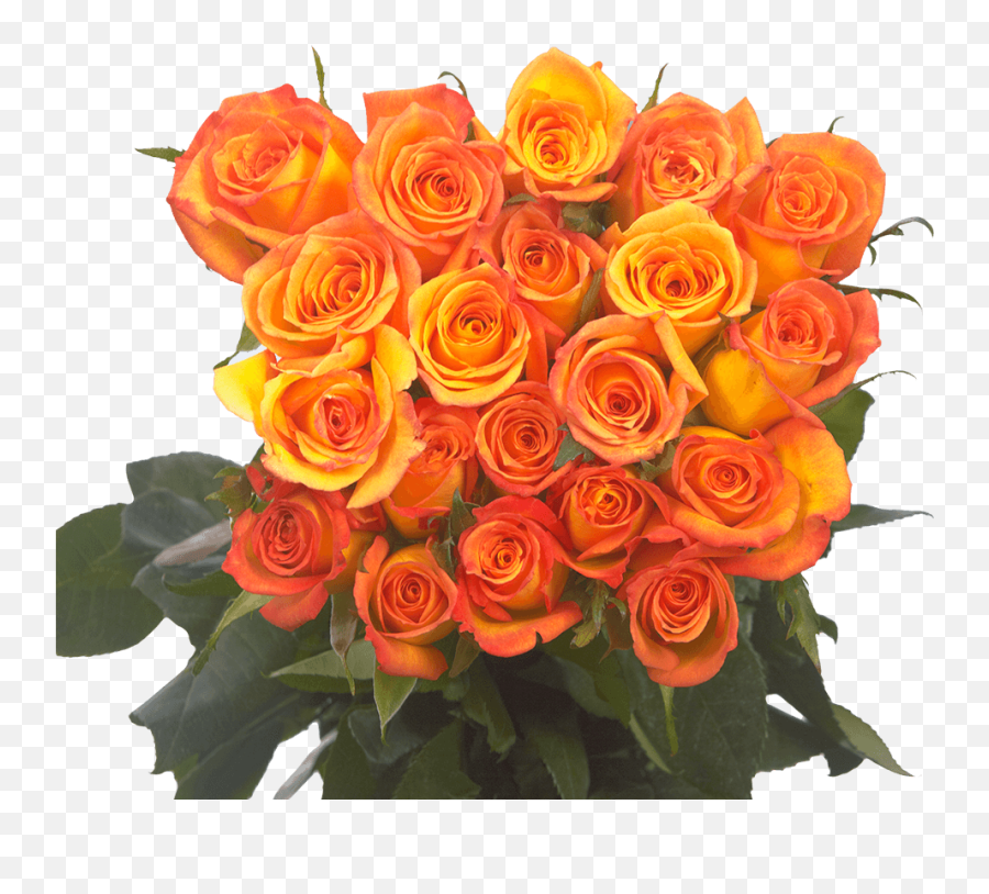 Dark Orange Roses Flowers Emoji,Orange Flowers Png