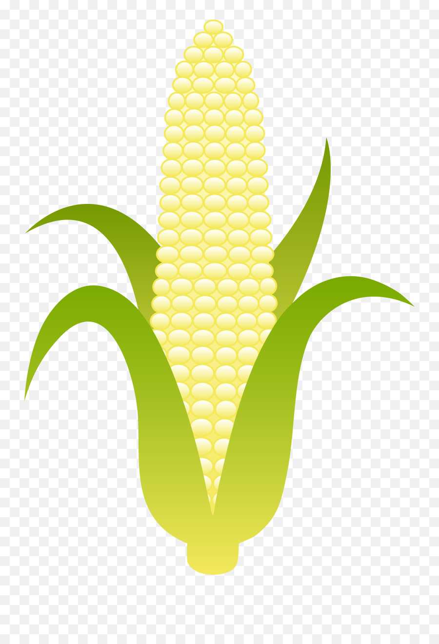 Best Corn Clipart - White Corn Vector Png Emoji,Candy Corn Clipart