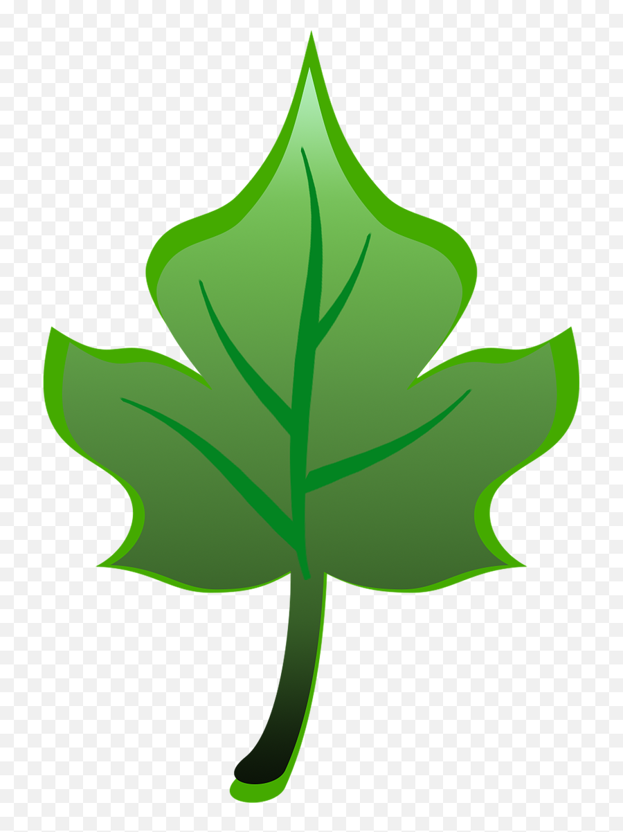 Green Leaf Clipart - Clip Art Emoji,Leaf Clipart
