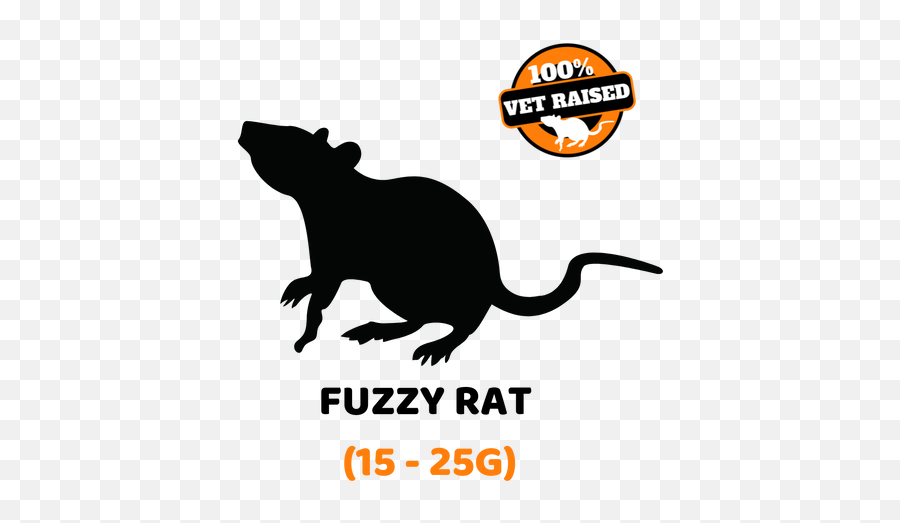 Fuzzy Rat - Animal Figure Emoji,Rat Transparent