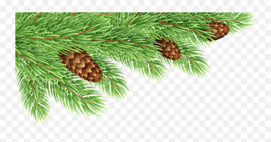 Download Free Png Pine Branches Decor Transparent Png Images - Branches De Sapin Png Emoji,Branches Clipart