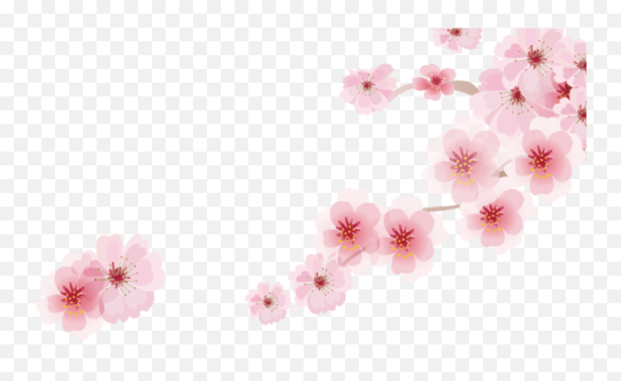 Cherry Blossom Png Image With No - Sakura With Japan Cartoon Emoji,Cherry Blossom Png