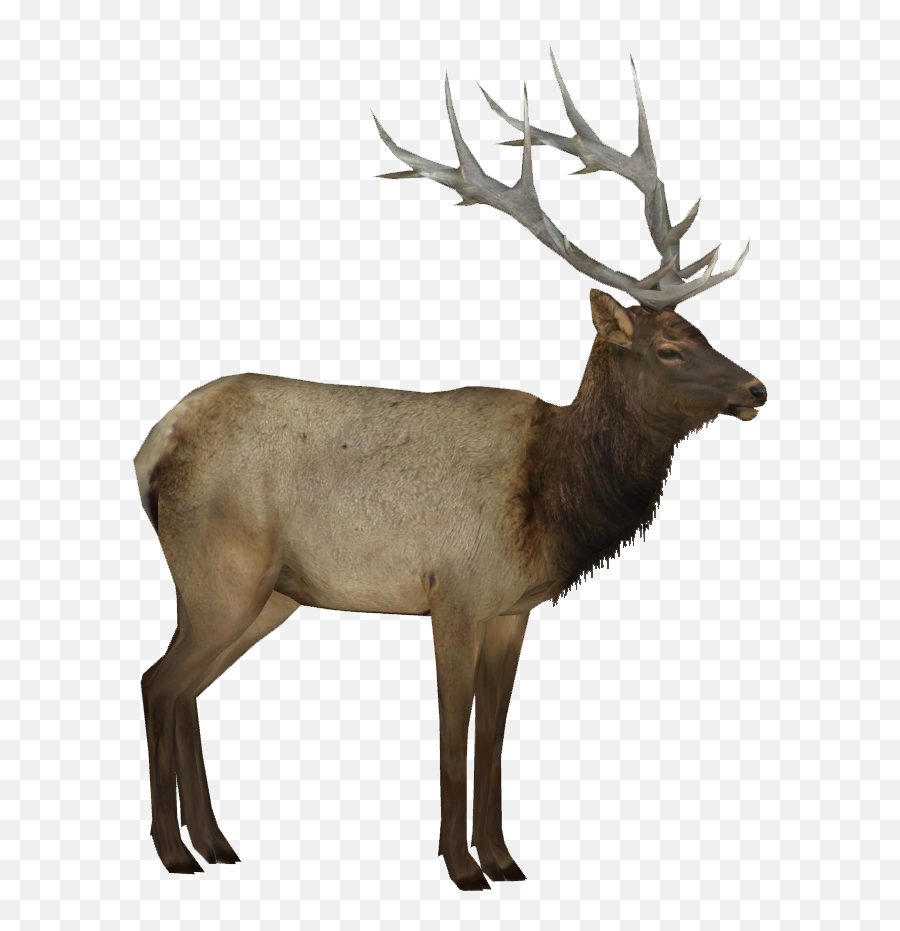 Elk Moose Standing Png Transparent Images Free Download Emoji,Moose Silhouette Png