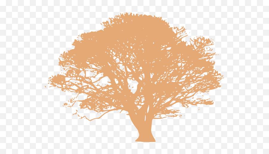 Peach Tree Clip Art At Clkercom - Vector Clip Art Online Emoji,Peach Transparent Background
