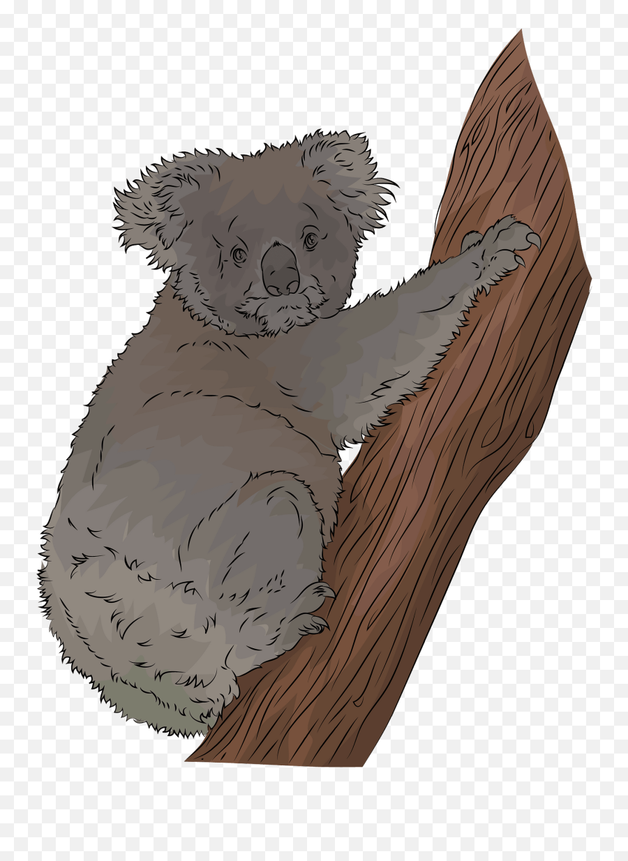 Koala Clipart Free Download Transparent Png Creazilla - Soft Emoji,Koala Clipart
