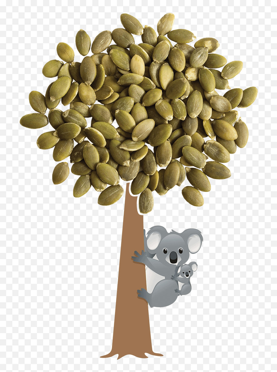 Munchme U2013 Get The Facts About Our Natural Plant - Based Emoji,Pumpkin Seeds Clipart
