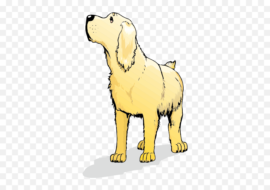 Golden Retriever Labrador Retriever Goldendoodle Labradoodle - Golden Retriever Cartoon Png Emoji,Golden Retriever Clipart