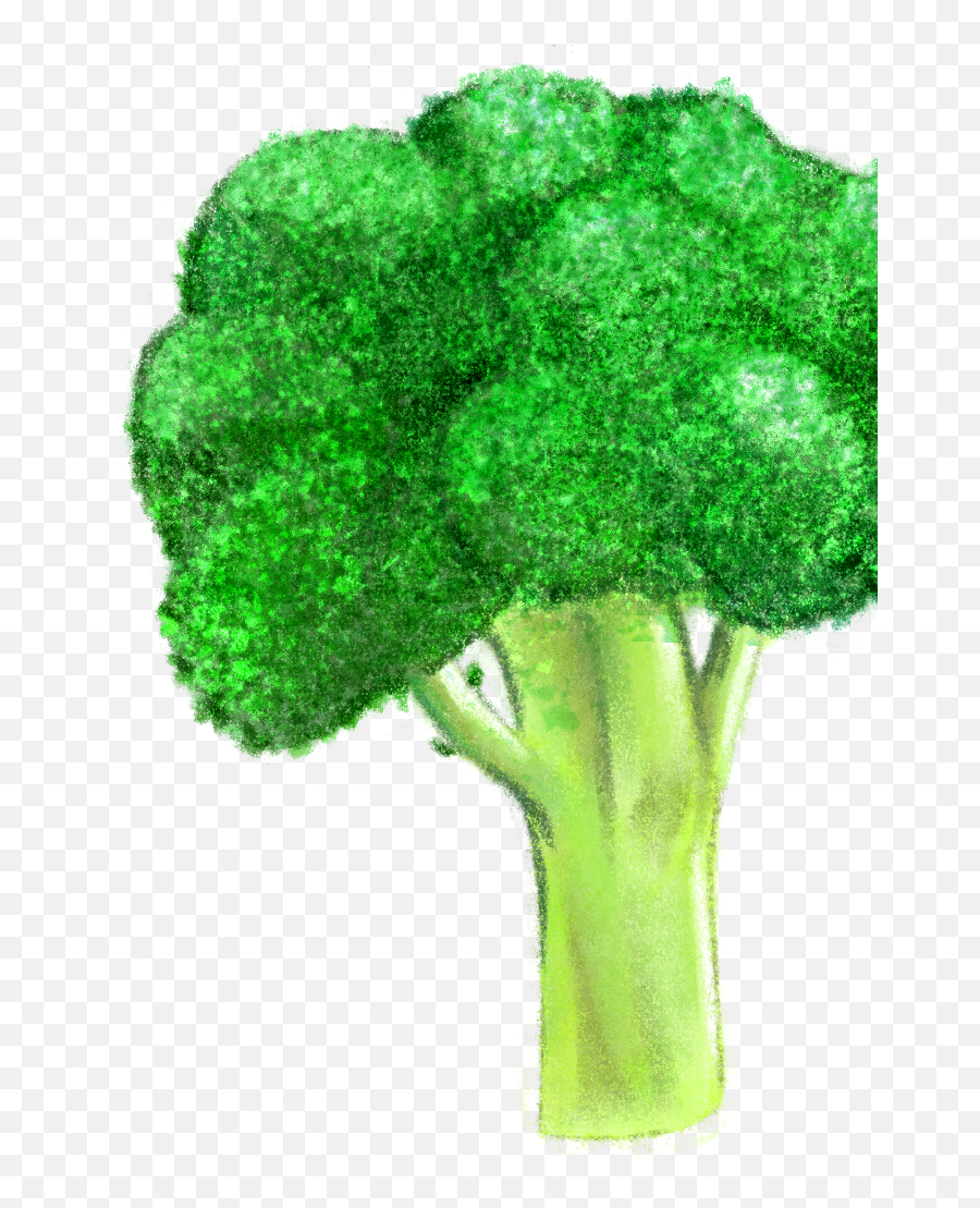 Brocolli - Broccoli Png Download Original Size Png Image Superfood Emoji,Broccoli Png