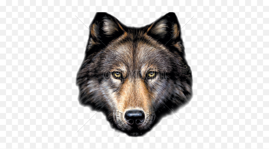 Png Wolf Head Transparent Wolf Head - Wolf Head Png Emoji,Wolf Face Png