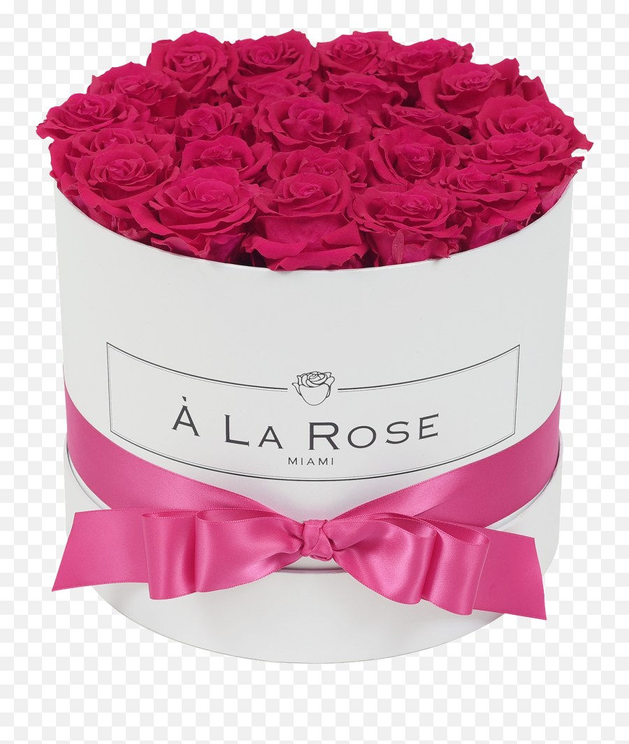 Download Orb Deluxe Hot Pink Roses - Pink Roses Png Image Emoji,Pink Roses Png