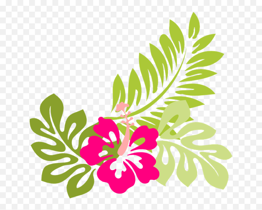 Tropical Flower Graphics Clipart - Clipart Suggest Emoji,Tropical Drink Clipart