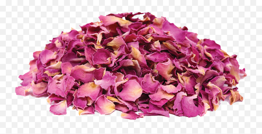Buy Organic Dried Rose Petals Online - Girly Emoji,Rose Petal Png