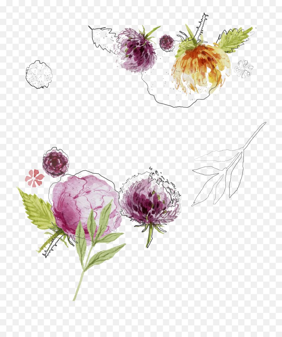 Textile Picshots Water Colour Flower Png 22 - Watercolor Flowers Painting On Invitation Emoji,Watercolor Flower Png