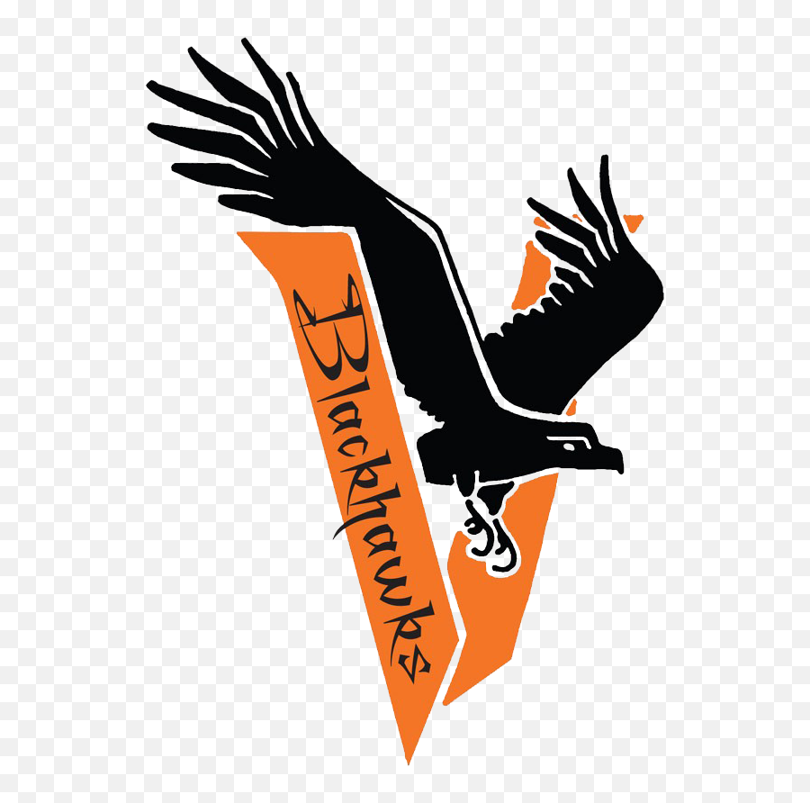 Viroqua Area Schools - Viroqua High School Emoji,Blackhawk Logo