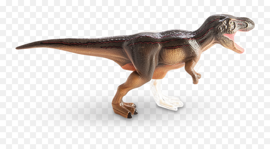 Download 4d Vision T - Rex Anatomy Model T Rex Anatomy Png Emoji,T Rex Png