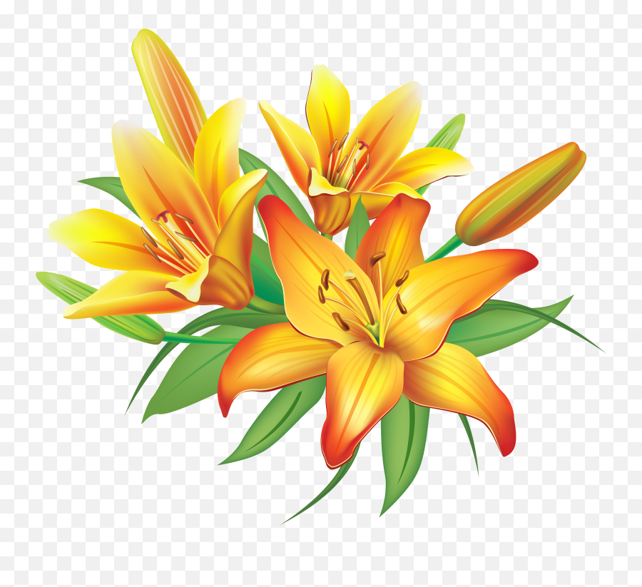 Lily Yellow Lilies Flowers Decoration - Vector Png Bunga Png Emoji,Lily Clipart