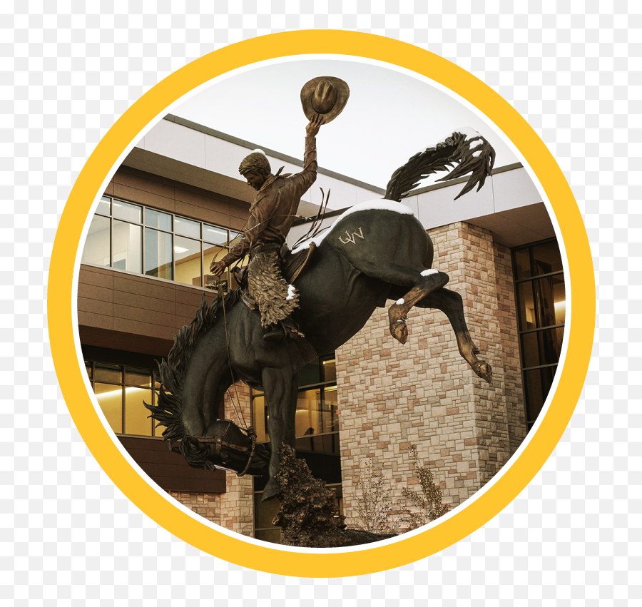Uw Brand Center - Rein Emoji,Wyoming Cowboys Logo