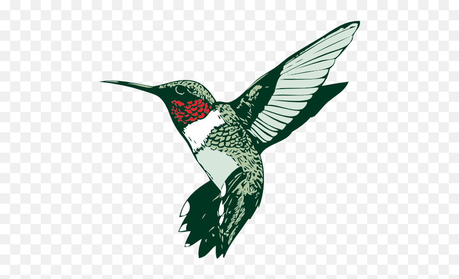 Ruby Throated Hummingbird Clipart - Ruby Throated Hummingbird Clipart Emoji,Hummingbird Clipart Black And White