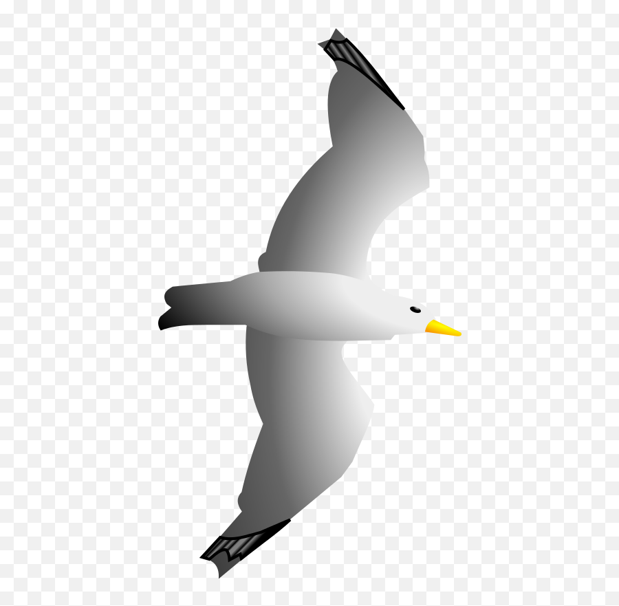 Seagull Clipart Free Images Image 2 - Clipart Flying Seagull Emoji,Seagull Clipart