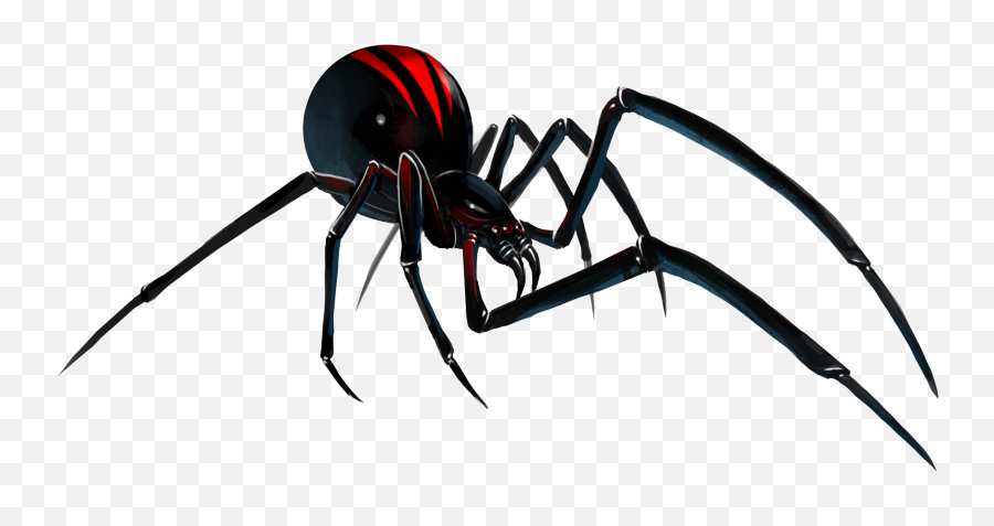 Black Widow Spider File Hq Png Image - Black Widow Spider Clipart Png Emoji,Png Files