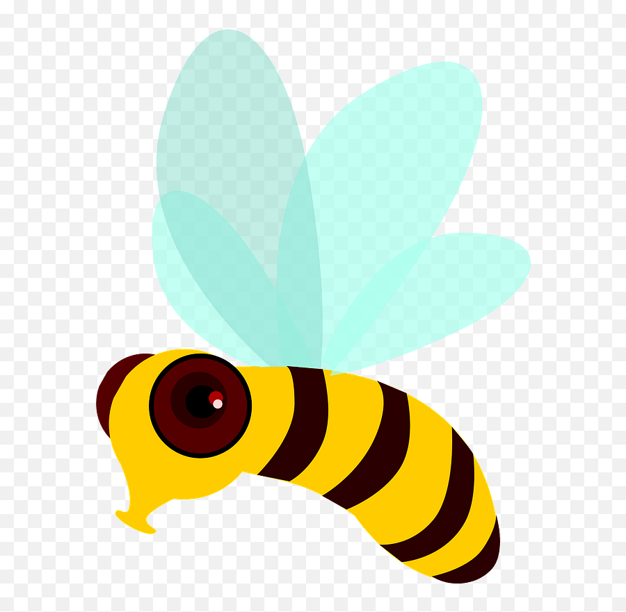 Bee With Big Brown Eyes Clipart Free Download Transparent Emoji,Brown Eyes Png