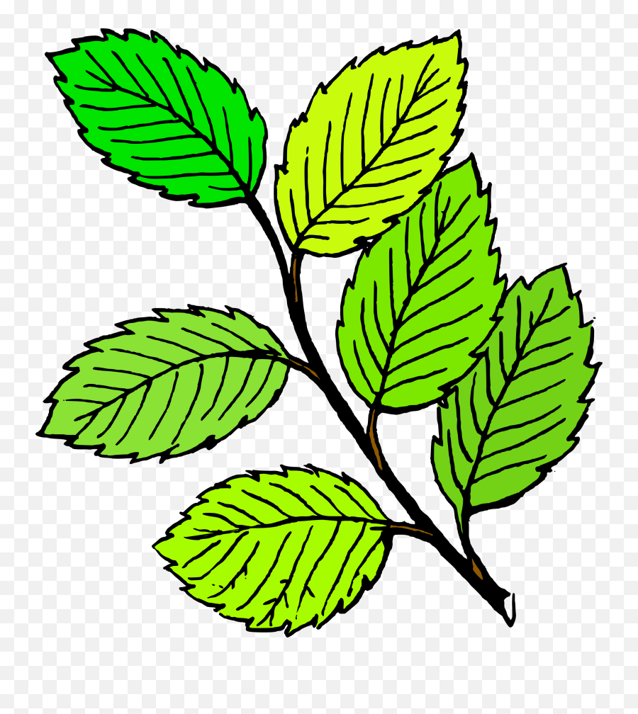 Spring Leaf Clipart Clipart Image - Clip Art Of Leaves Emoji,Leaf Clipart