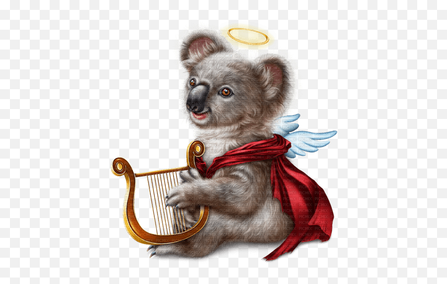 Yamanimals Koala Angel Y A M Animals Koala Emoji,Yam Clipart