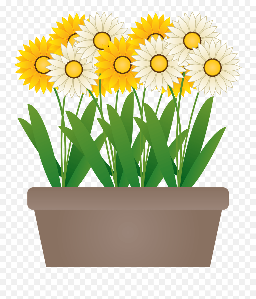 Daisies In A Brown Pot Clipart Free Download Transparent - Daisy Flower On Pot Clipart Emoji,Flower Pot Clipart