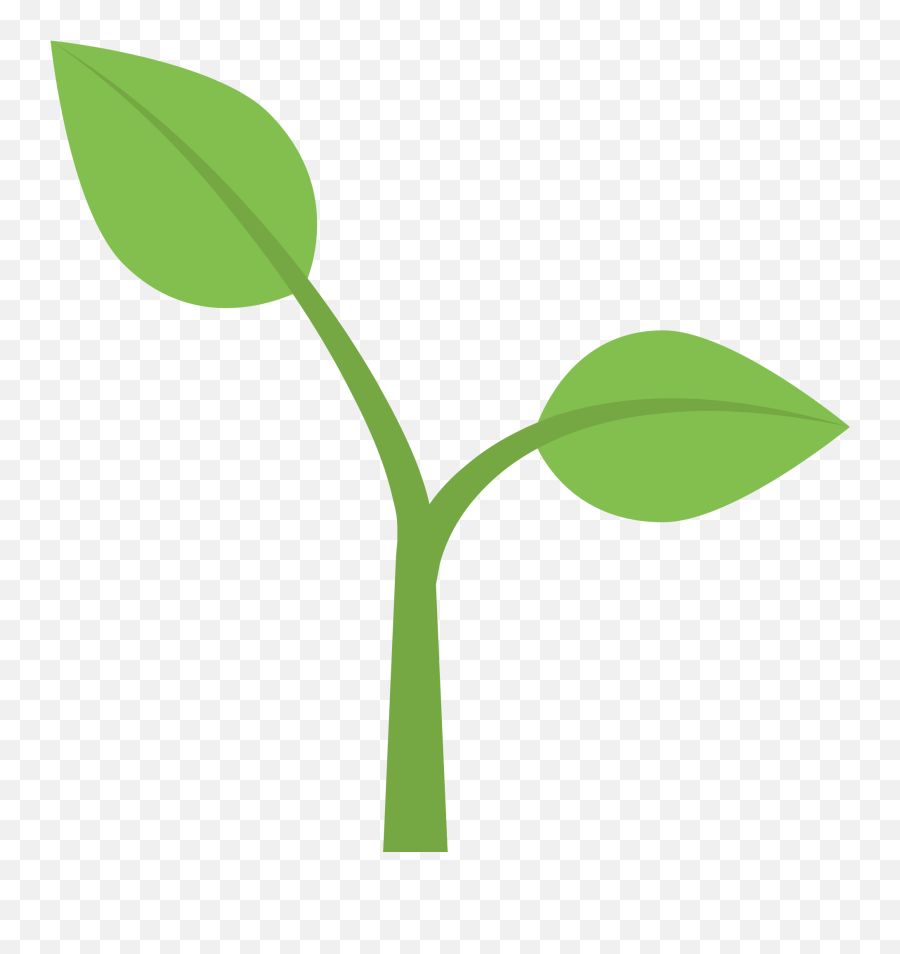 Flower Stem Template 1 Buy Clip Art - Plant Emoji Png,Stem Clipart