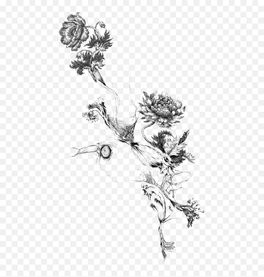 Aesthetic Minimalist Drawings Wallpapers - Wallpaper Cave Transparent Tattoo Png Flower Emoji,Aesthetic Clipart