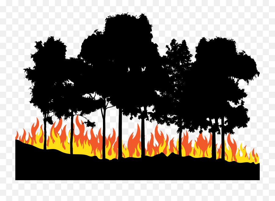 Fire Euclidean Vector - Fire In The Woods Png Download Fire Forest Png Emoji,Fire Vector Png