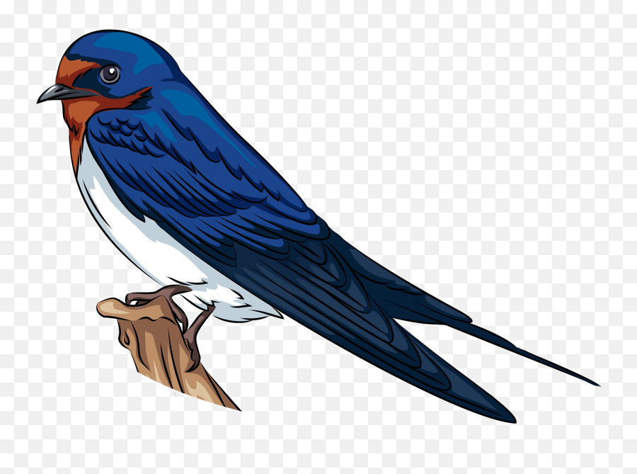 Barn Swallow Clipart Free Download Transparent Png Creazilla Emoji,Bluebirds Clipart