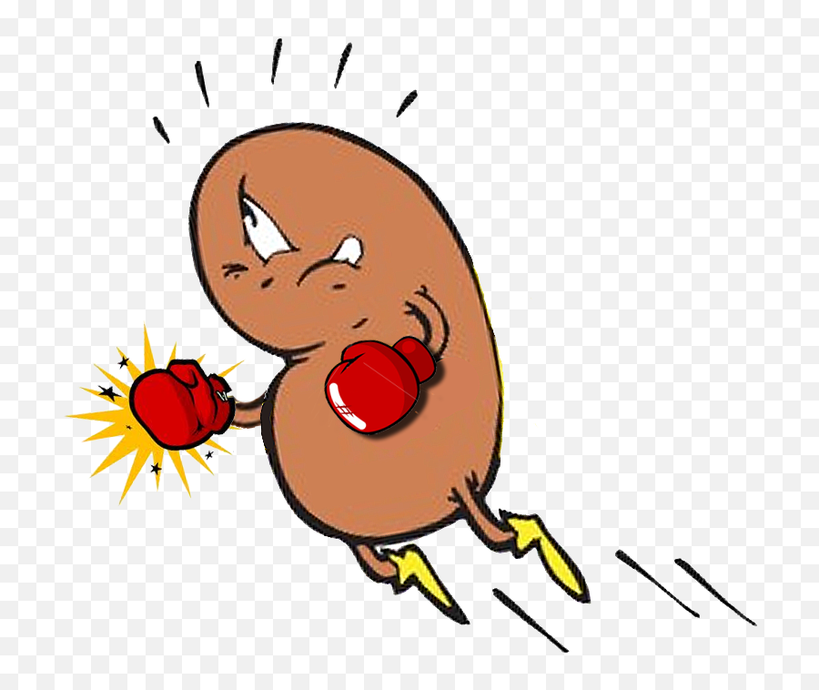 Kidney Cartoons Html - Cartoons Of Kidney Beans Emoji,Kidney Clipart