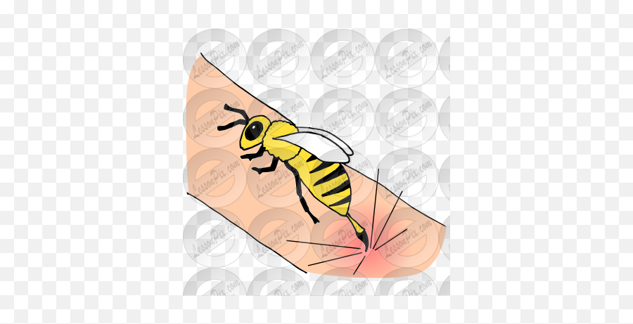 Bee Sting Picture For Classroom Therapy Use - Great Bee Parasitism Emoji,Hornet Clipart