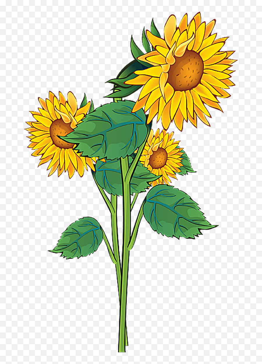 Free Sunflowers Cliparts Download Free - Summer Floer Clip Art Emoji,Sunflowers Clipart