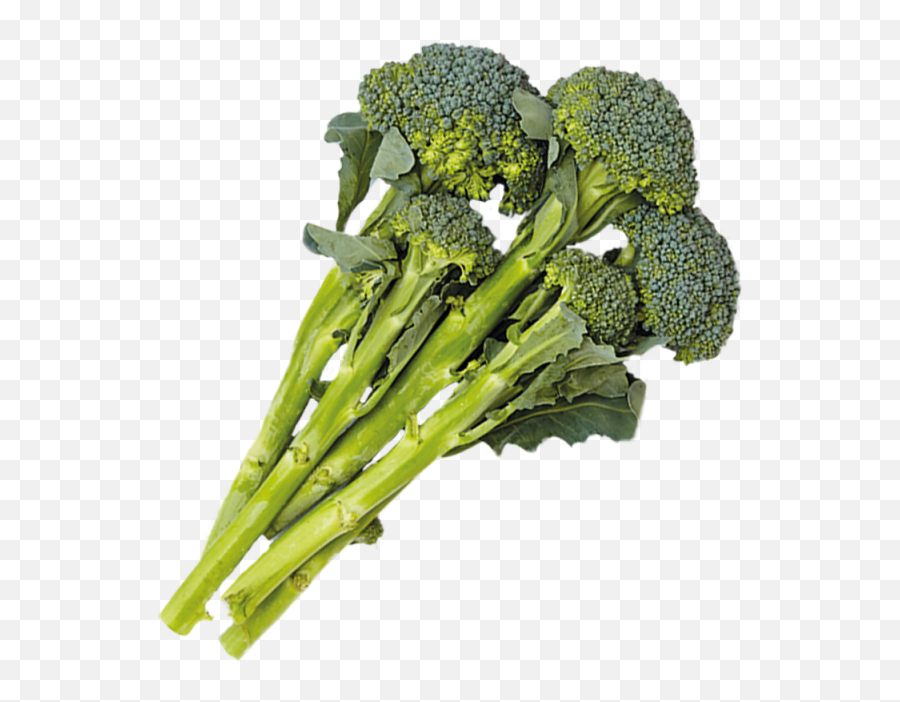 Download 1 Cup - Broccoli Png Image With No Background Broccolini Emoji,Broccoli Png
