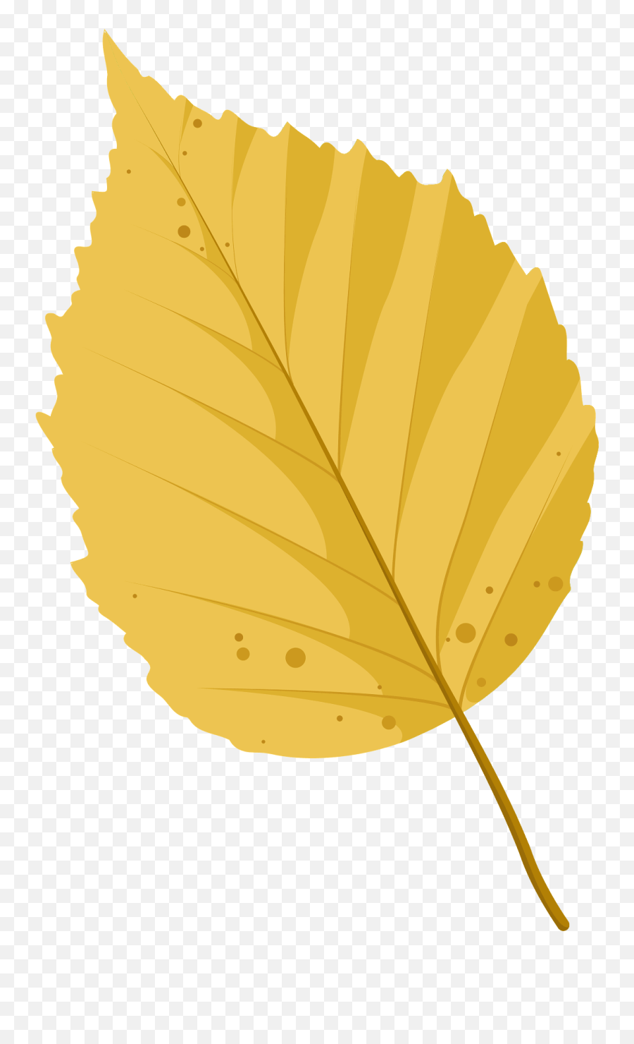 Paper Birch Autumn Leaf Clipart - Paper Birch Leaves Autumn Emoji,Fall Leaf Clipart