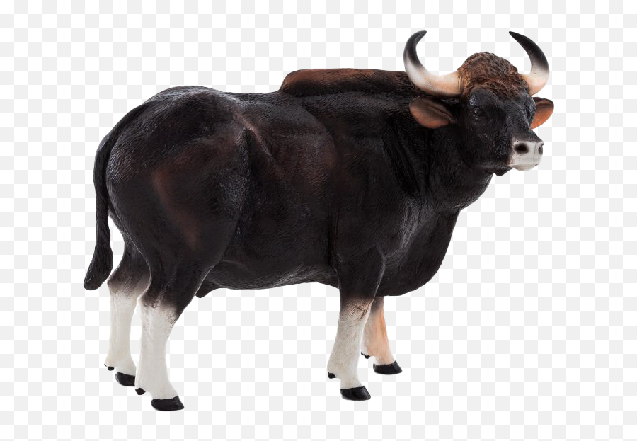 Bison Png Transparent Images Png All - Gaur Figure Emoji,Bull Horns Png