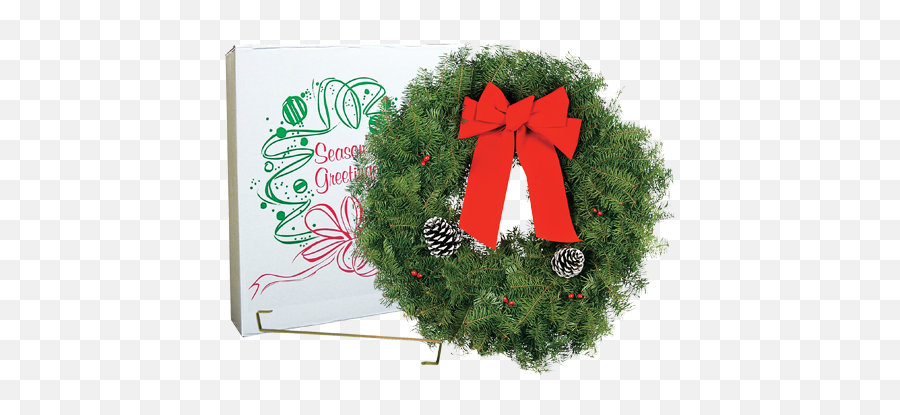 Alexander Bands U2014 Fresh - Cut Holiday Wreaths Emoji,Holiday Wreath Png
