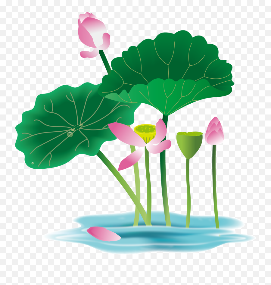 Lotus Flower Graphic Png - Hand Painted Flower Plant Water Emoji,Water Plants Clipart