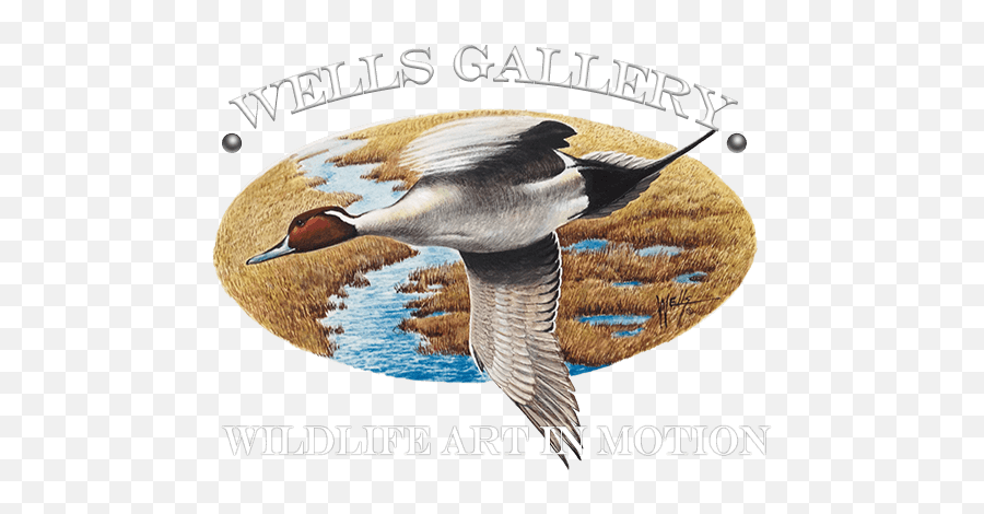 Wells Studio Gallery - Duck Emoji,Ducks Unlimited Logo