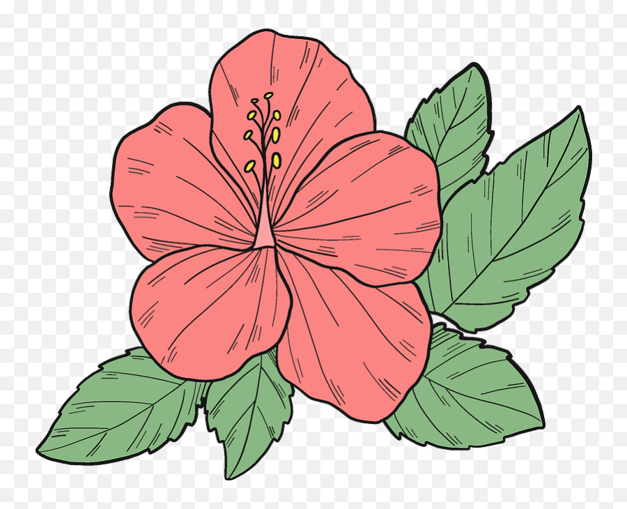 Pink Hibiscus Flower Clipart Free Download Transparent Png - Floral Emoji,Hawaiian Flower Clipart