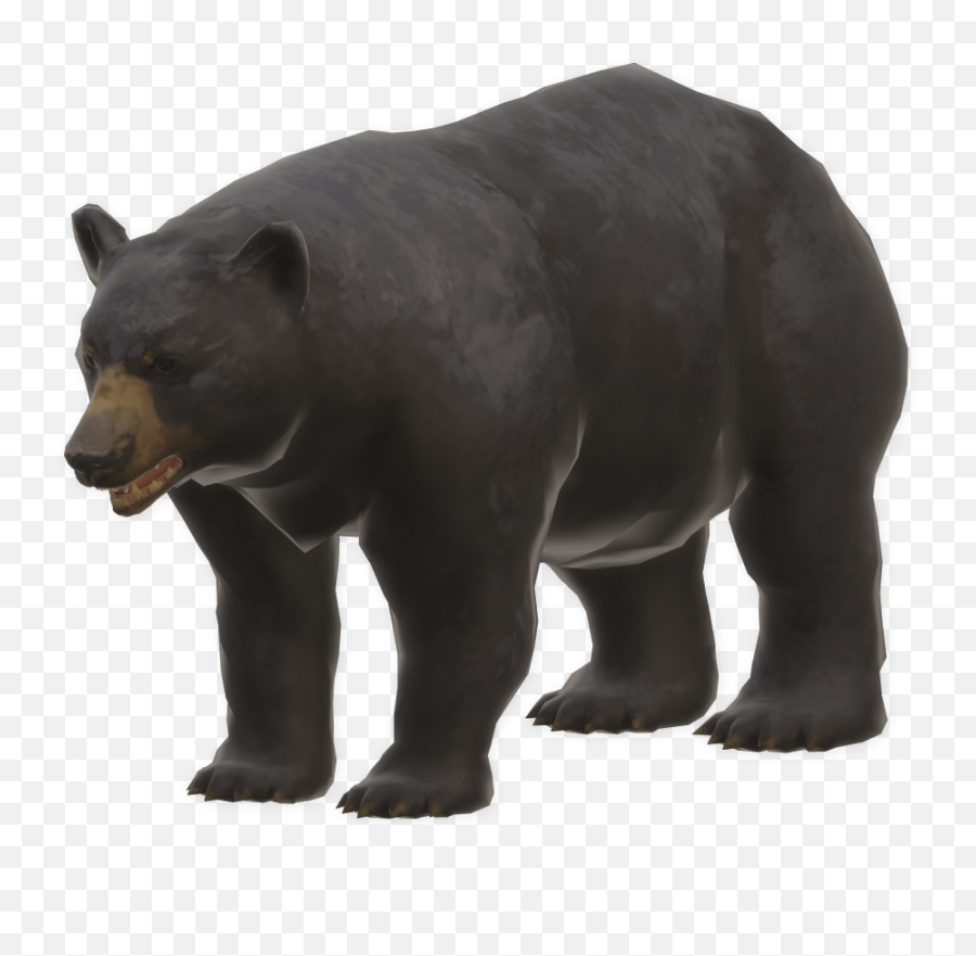 Bear - Long Dark Bear Emoji,Black Bear Png