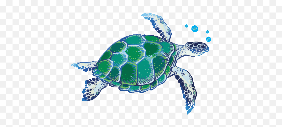 Animated Gif Transparent Background Posted By John Walker - Sea Turtle Transparent Background Gif Emoji,Fireworks Gif Transparent
