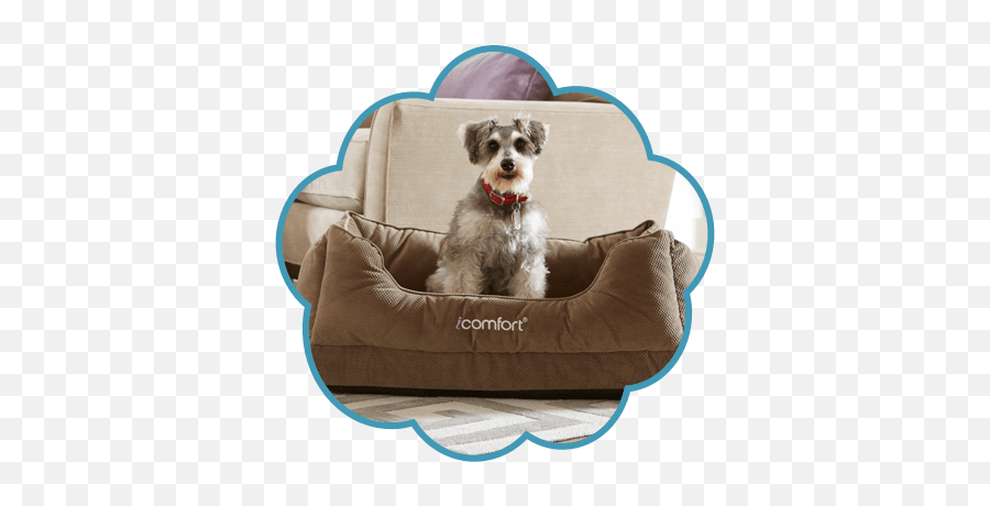 Serta Pet Beds - Dog Bed Emoji,Serta Logo