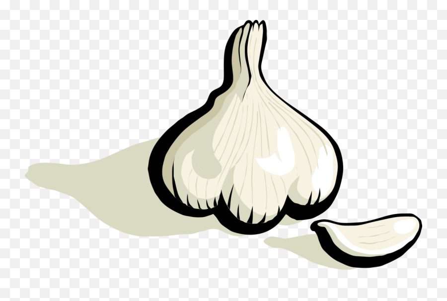 Free Clip Art - Garlic Clove Clipart Png Emoji,Garlic Clipart